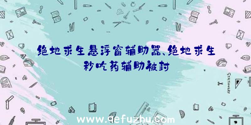 绝地求生悬浮窗辅助器、绝地求生秒吃药辅助被封