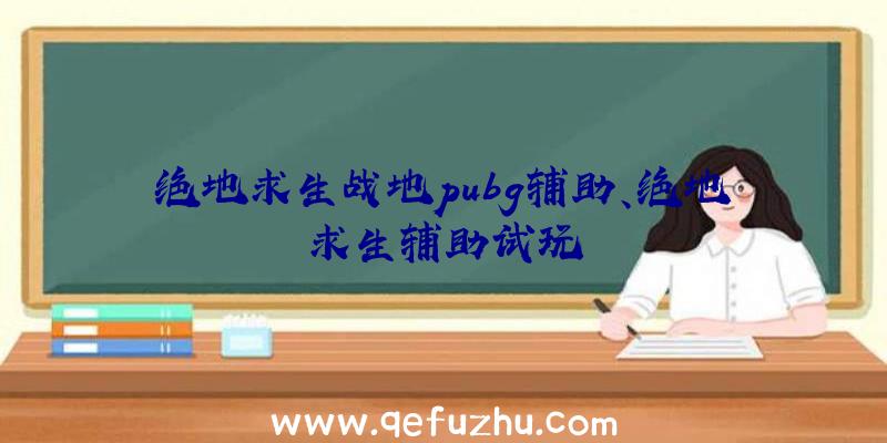 绝地求生战地pubg辅助、绝地求生辅助试玩