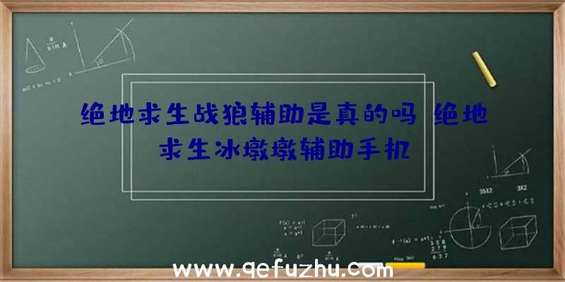 绝地求生战狼辅助是真的吗、绝地求生冰墩墩辅助手机