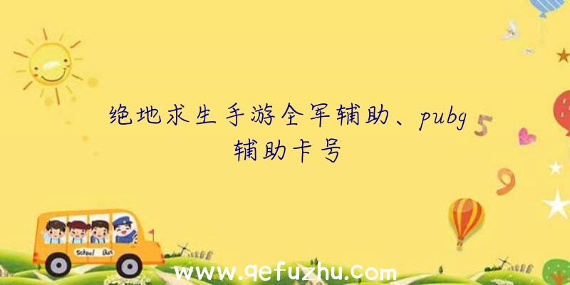 绝地求生手游全军辅助、pubg辅助卡号