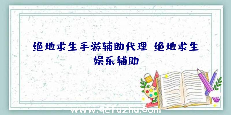 绝地求生手游辅助代理、绝地求生娱乐辅助