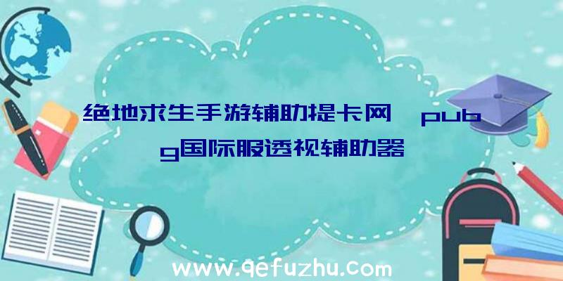 绝地求生手游辅助提卡网、pubg国际服透视辅助器