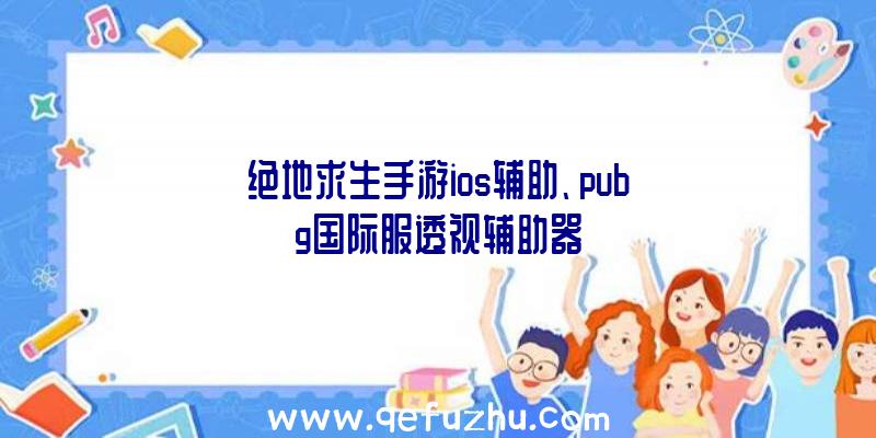 绝地求生手游ios辅助、pubg国际服透视辅助器