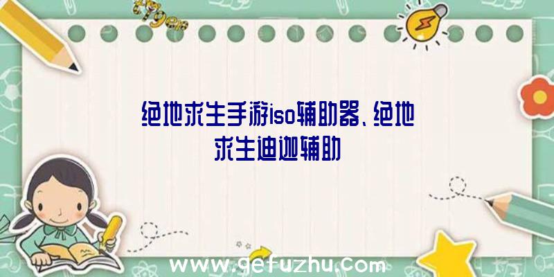 绝地求生手游iso辅助器、绝地求生迪迦辅助