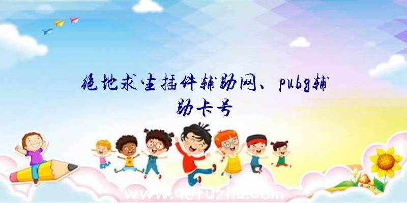 绝地求生插件辅助网、pubg辅助卡号