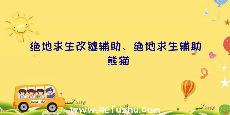 绝地求生改键辅助、绝地求生辅助