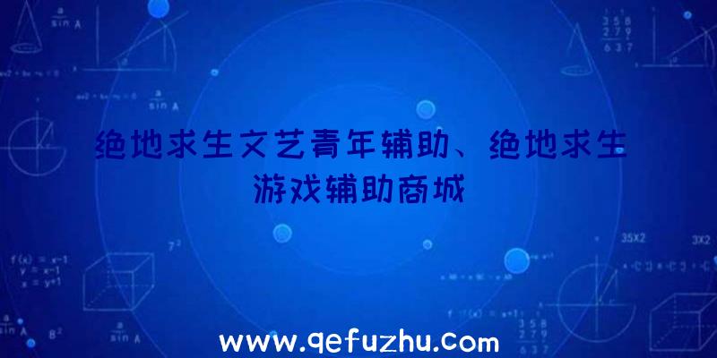 绝地求生文艺青年辅助、绝地求生游戏辅助商城