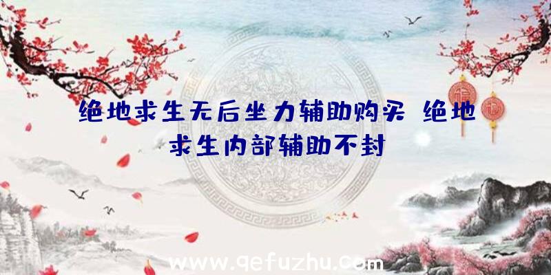 绝地求生无后坐力辅助购买、绝地求生内部辅助不封