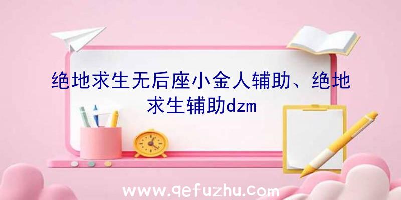 绝地求生无后座小金人辅助、绝地求生辅助dzm