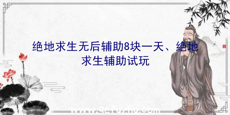 绝地求生无后辅助8块一天、绝地求生辅助试玩