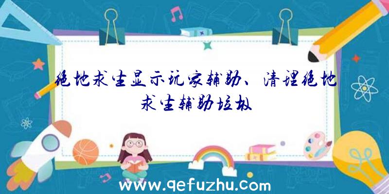 绝地求生显示玩家辅助、清理绝地求生辅助垃圾