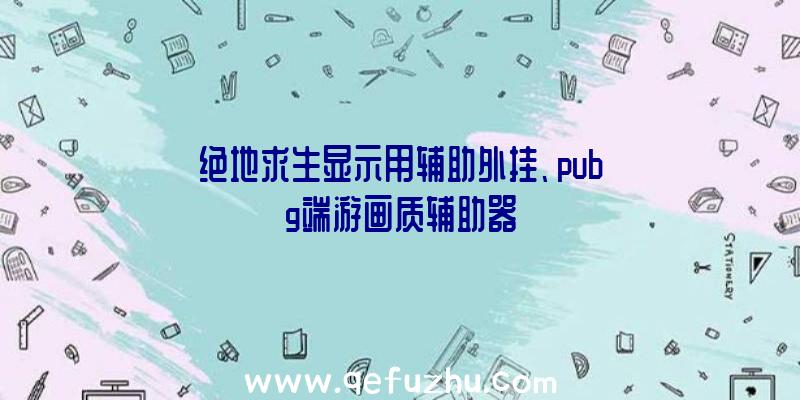 绝地求生显示用辅助外挂、pubg端游画质辅助器