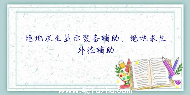 绝地求生显示装备辅助、绝地求生外挂辅助