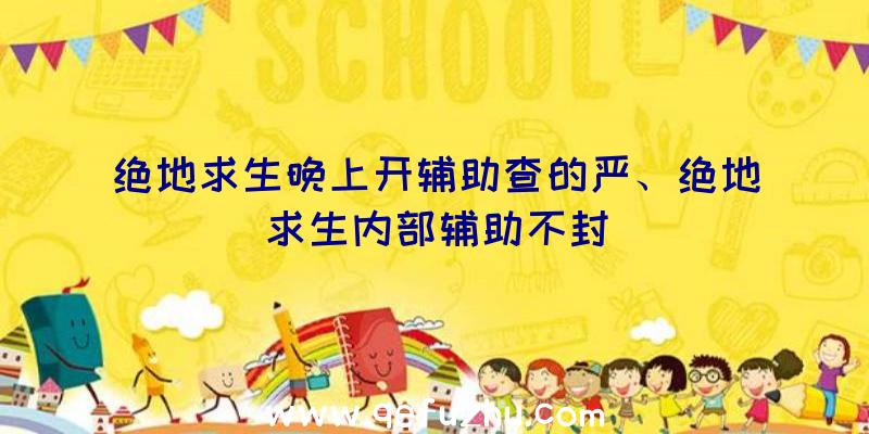 绝地求生晚上开辅助查的严、绝地求生内部辅助不封