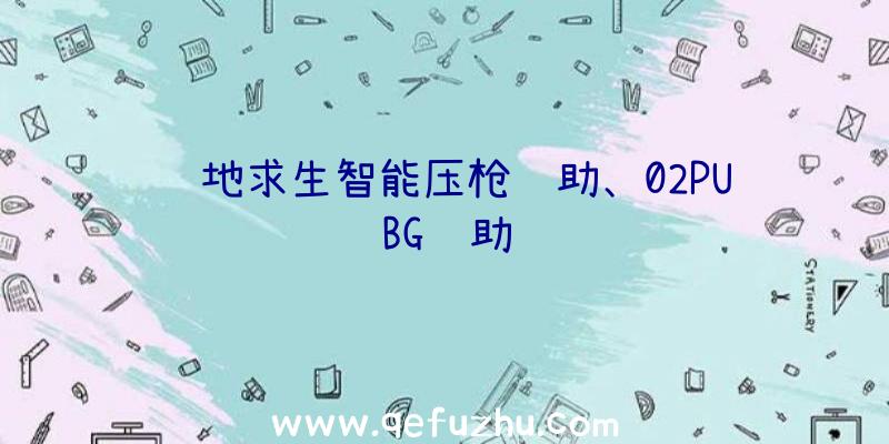 绝地求生智能压枪辅助、02PUBG辅助