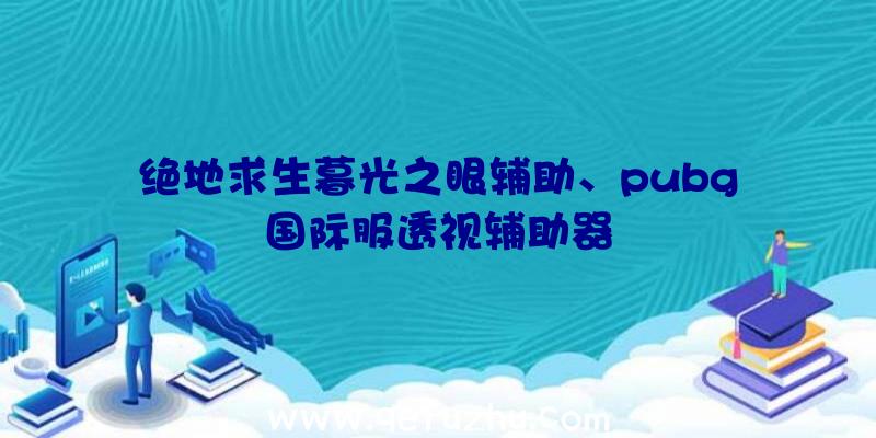 绝地求生暮光之眼辅助、pubg国际服透视辅助器