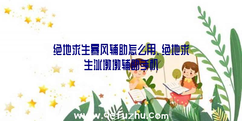 绝地求生暴风辅助怎么用、绝地求生冰墩墩辅助手机