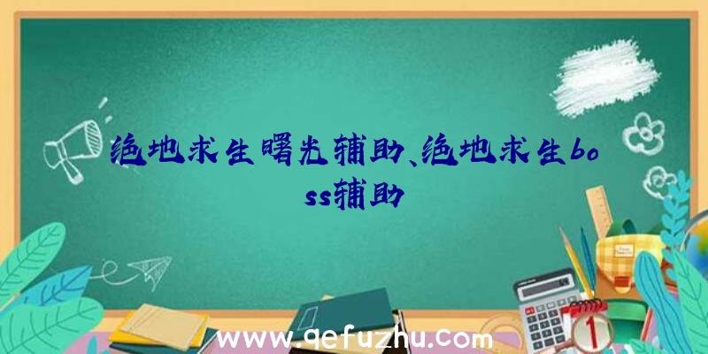 绝地求生曙光辅助、绝地求生boss辅助