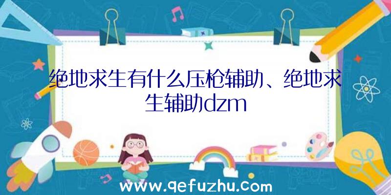 绝地求生有什么压枪辅助、绝地求生辅助dzm