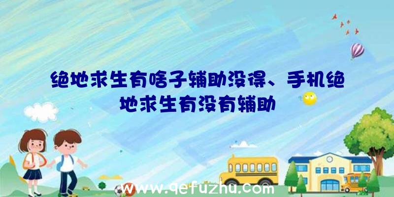 绝地求生有啥子辅助没得、手机绝地求生有没有辅助