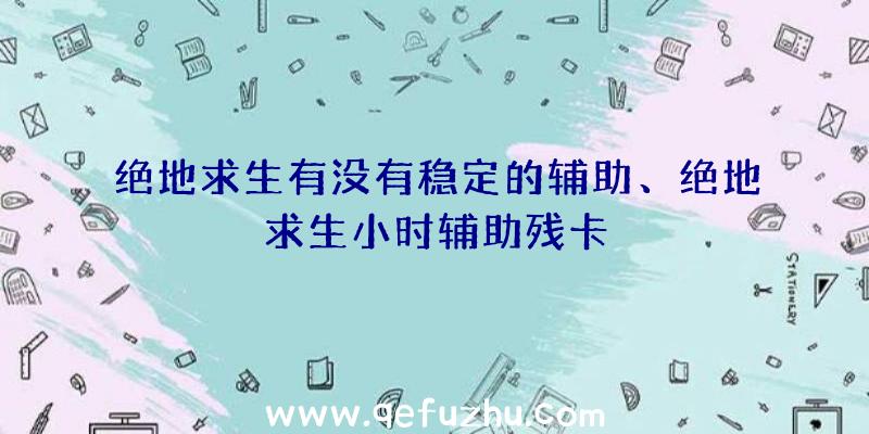 绝地求生有没有稳定的辅助、绝地求生小时辅助残卡