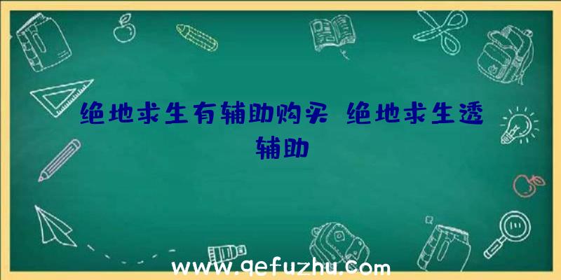 绝地求生有辅助购买、绝地求生透辅助