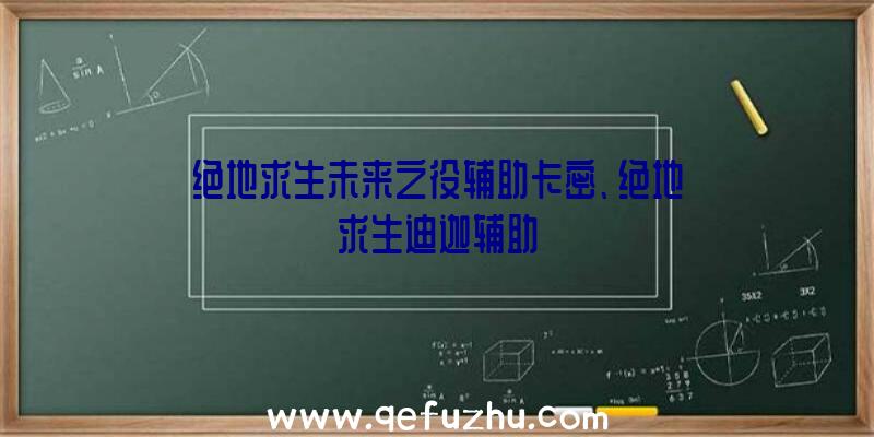 绝地求生未来之役辅助卡密、绝地求生迪迦辅助