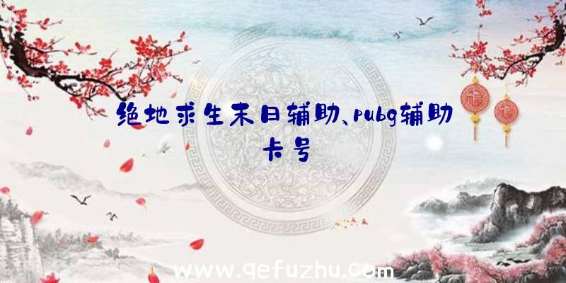 绝地求生末日辅助、pubg辅助卡号