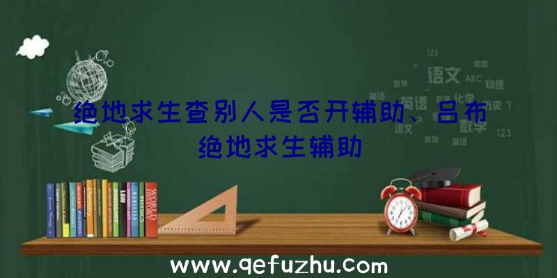 绝地求生查别人是否开辅助、吕布绝地求生辅助