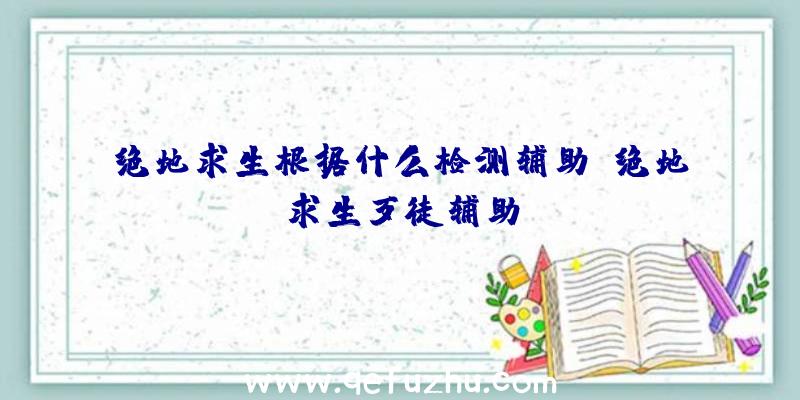 绝地求生根据什么检测辅助、绝地求生歹徒辅助