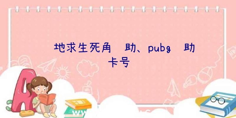 绝地求生死角辅助、pubg辅助卡号