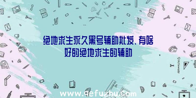 绝地求生永久黑号辅助批发、有啥好的绝地求生的辅助