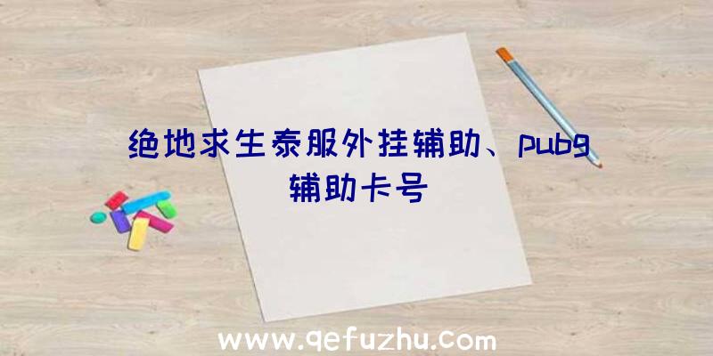 绝地求生泰服外挂辅助、pubg辅助卡号