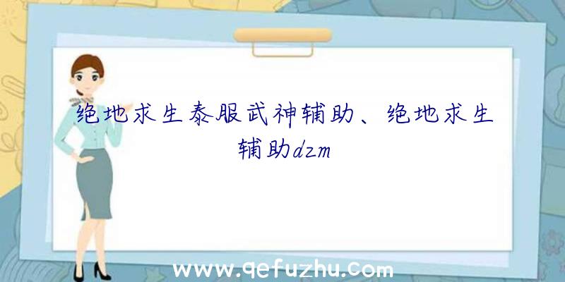 绝地求生泰服武神辅助、绝地求生辅助dzm