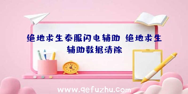 绝地求生泰服闪电辅助、绝地求生辅助数据清除