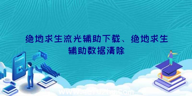 绝地求生流光辅助下载、绝地求生辅助数据清除