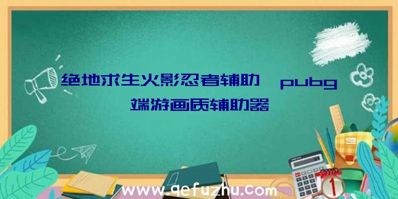 绝地求生火影忍者辅助、pubg端游画质辅助器