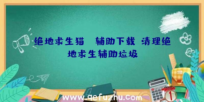 绝地求生猫ye辅助下载、清理绝地求生辅助垃圾