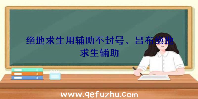 绝地求生用辅助不封号、吕布绝地求生辅助