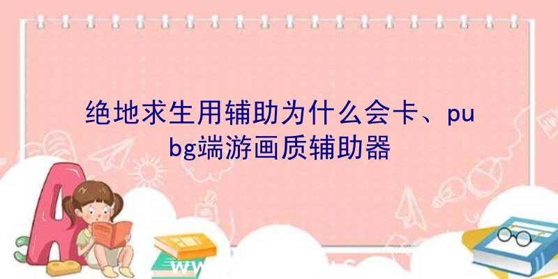 绝地求生用辅助为什么会卡、pubg端游画质辅助器