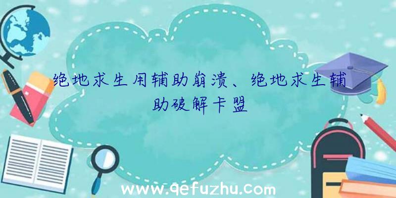 绝地求生用辅助崩溃、绝地求生辅助破解卡盟