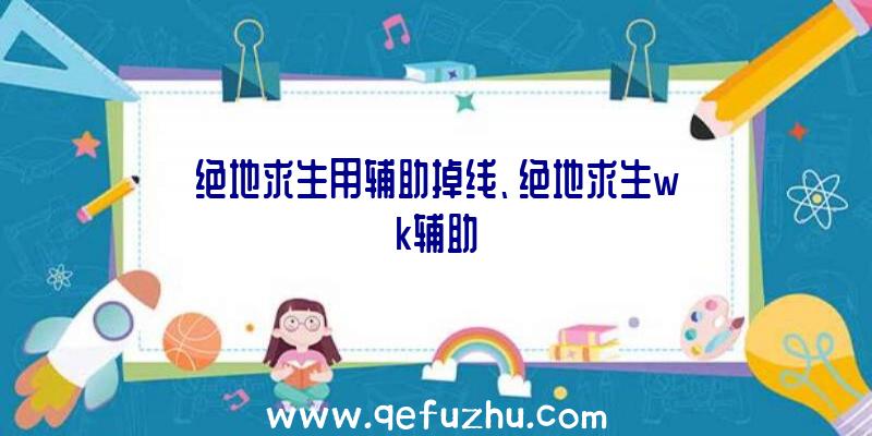 绝地求生用辅助掉线、绝地求生wk辅助