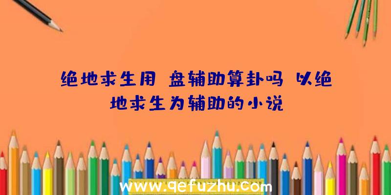 绝地求生用u盘辅助算卦吗、以绝地求生为辅助的小说