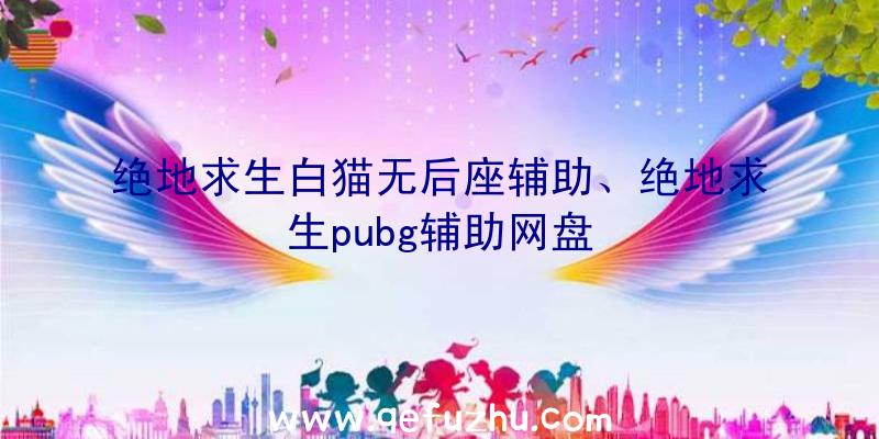 绝地求生白猫无后座辅助、绝地求生pubg辅助网盘