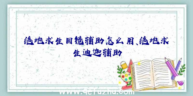 绝地求生目镜辅助怎么用、绝地求生迪迦辅助