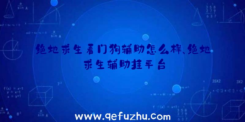 绝地求生看门狗辅助怎么样、绝地求生辅助挂平台