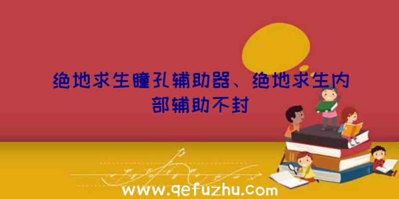 绝地求生瞳孔辅助器、绝地求生内部辅助不封