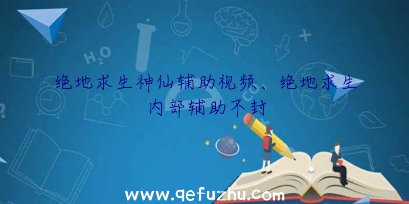 绝地求生神仙辅助视频、绝地求生内部辅助不封