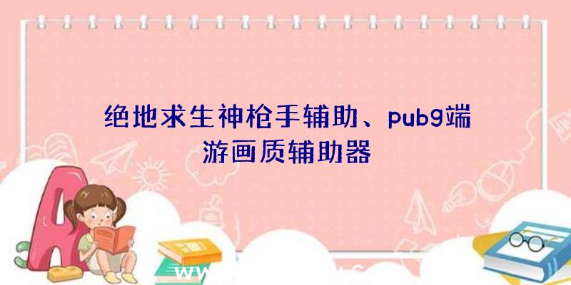 绝地求生神枪手辅助、pubg端游画质辅助器