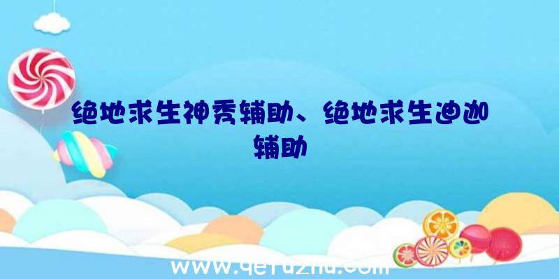 绝地求生神秀辅助、绝地求生迪迦辅助